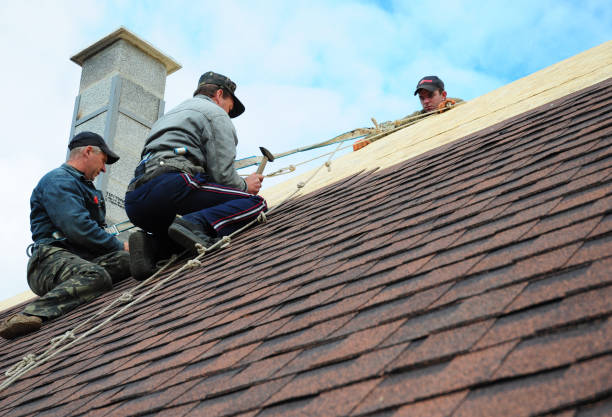Best Roof Waterproofing Services  in Burley, WA