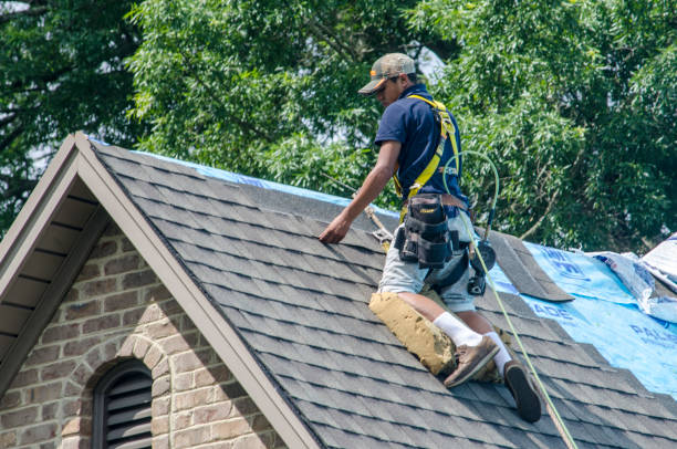 Best Flat Roof Repair Services  in Burley, WA